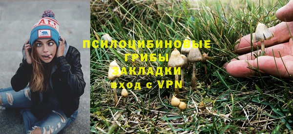 твердый Нефтекумск